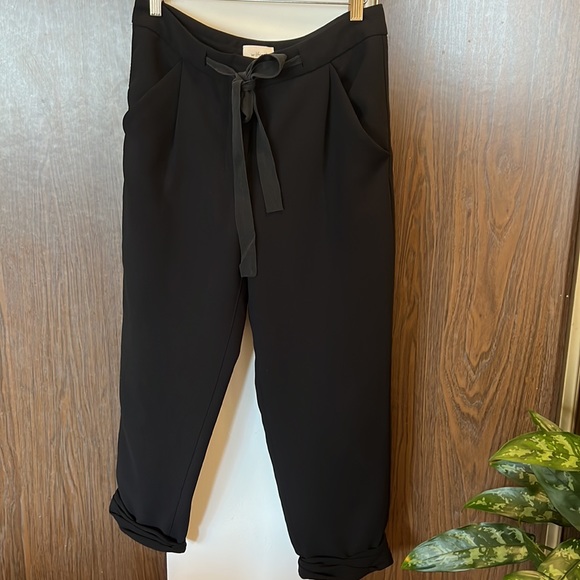 Aritiza Wilfred Allant Pants Size 2 - Picture 3 of 7